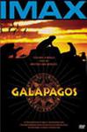 龟岛探秘 Galapagos: The Enchanted Voyage.1999 字幕下载