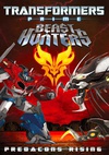 变形金刚之狩魔之战：巨狰狞的崛起 Transformers Prime Beast Hunters: Predacons Rising.2013 字幕下载