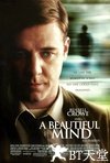 美丽心灵 A Beautiful Mind.2001 字幕下载