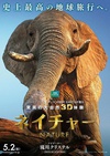 魔法王国 Enchanted Kingdom 3D.2014 字幕下载
