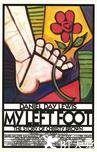 我的左脚 My Left Foot.1989 字幕下载