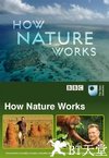 自然的运作 How Nature Works.2012 字幕下载