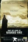 魂归伤膝谷 Bury My Heart at Wounded Knee.2007 字幕下载