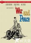 战争与和平 War and Peace.1956 字幕下载