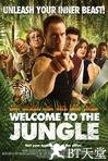 欢迎来到丛林 Welcome to the Jungle.2013 字幕下载