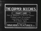 铜山毛榉案 The Copper Beeches.1912 字幕下载