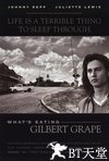 不一样的天空 What's Eating Gilbert Grape.1993 字幕下载