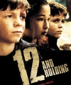 12岁的少年 Twelve and Holding.2005 字幕下载