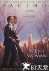 闻香识女人 Scent of a Woman.1992 字幕下载