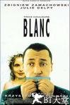 蓝白红三部曲之白 Trois couleurs: Blanc.1994 字幕下载