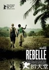 战地巫师 Rebelle.2012 字幕下载