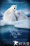 北极 To the Arctic 3D.2012 字幕下载