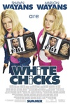 小姐好白 White Chicks.2004 字幕下载