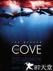 海豚湾 The Cove.2009 字幕下载