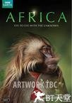 BBC：非洲 BBC: Africa.2013 字幕下载