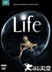 生命 Life.2009 字幕下载