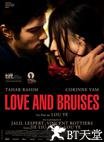 花 Love and Bruises.2011 字幕下载