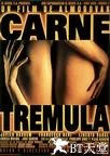 活色生香 Carne trémula.1997 字幕下载