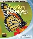 奇异的旅程 Amazing Journeys.1999 字幕下载