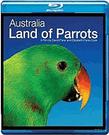 澳洲野生鹦鹉 Australia: Land of Parrots.2008 字幕下载