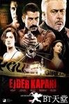 龙之陷阱 Ejder kapani.2010 字幕下载
