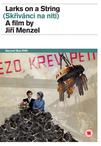 失翼灵雀 Skrivánci na niti.1969 字幕下载