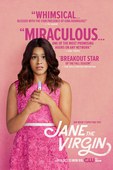 处女情缘 第一季 Jane the Virgin.2014 字幕下载