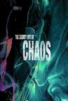 神秘的混沌理论 The Secret Life of Chaos.2009 字幕下载