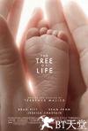 生命之树 The Tree of Life.2011 字幕下载