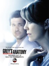 实习医生格蕾 第十一季 Grey's Anatomy.2014 字幕下载