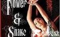 花与蛇2 Flower.and.Snake.1974 字幕下载